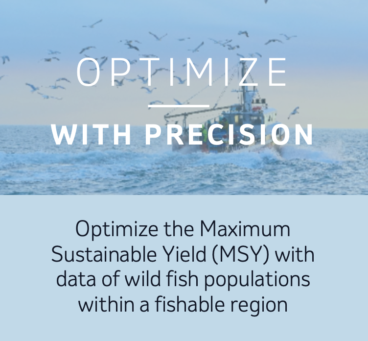 optimize with precision 